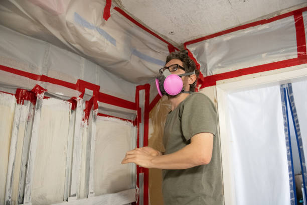 Best HVAC Mold Inspection and Cleaning  in Luling, LA